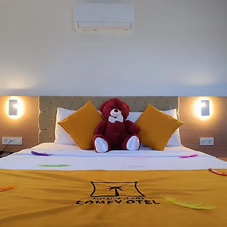 Hotel Comfy Lara *