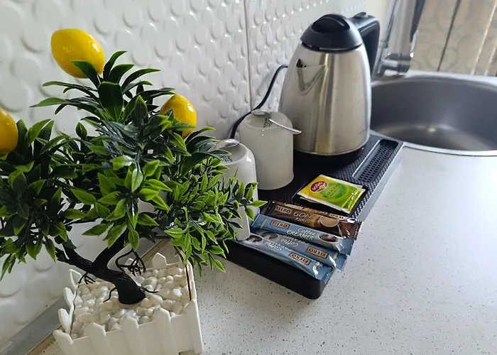 Comfy Lara מלון *