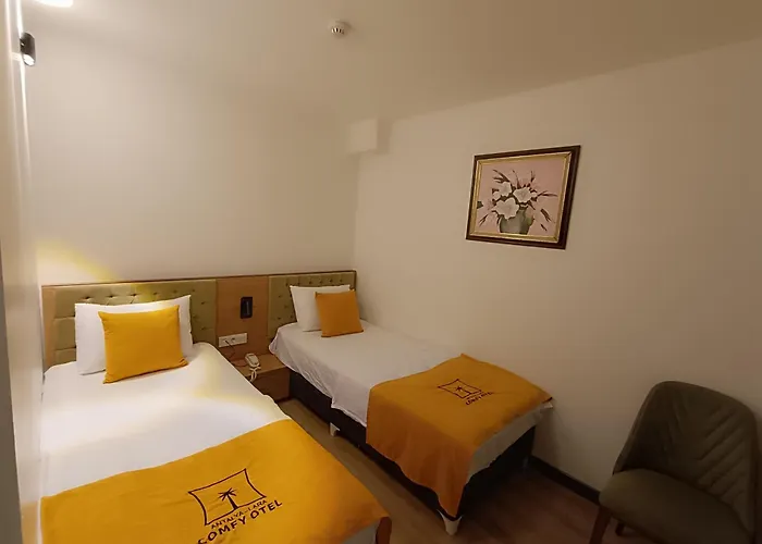 Comfy Lara Hotel